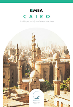 Front page image of the ITIC MEA 2024 brochure.